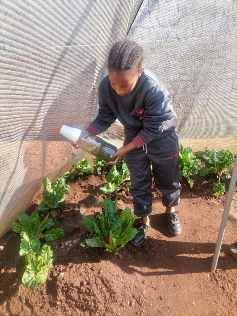 WhatsApp Image 2024-10-30 at 17.43.23