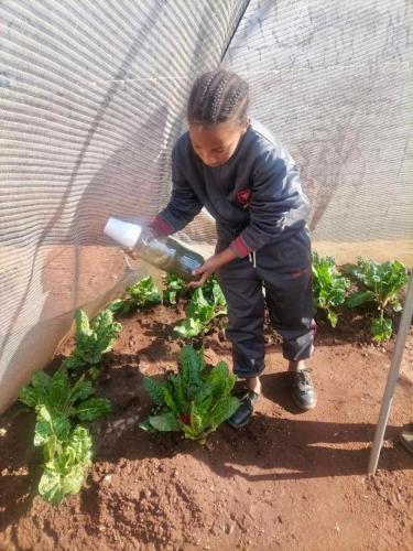 WhatsApp Image 2024-10-30 at 17.43.23